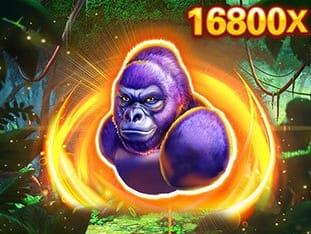 Kong